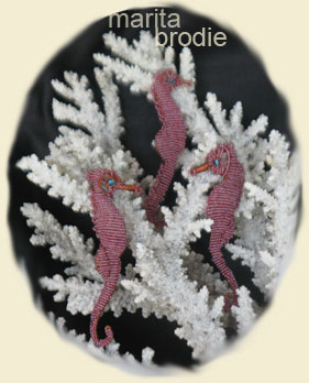 LITTLE SEA HORSES | Marita Brodie Art from the Heart