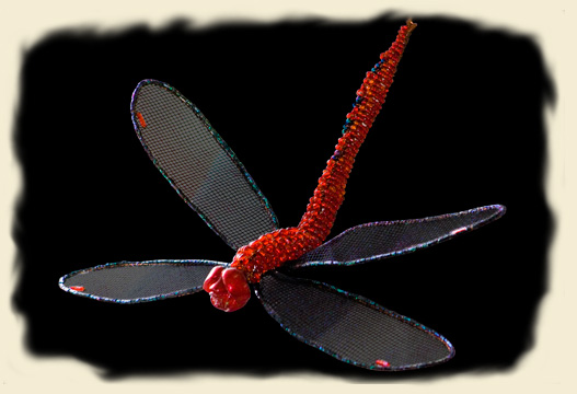 NONO's DRAGONFLY | Marita Brodie Art from the Heart
