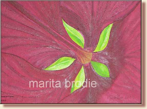 PETALS and LEAVES | Marita Brodie Art from the Heart
