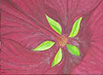 PETALS and LEAVES | Marita Brodie Art from the Heart