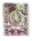 gods of surf - kayla anderson art | Curator Web Design Diana Giesbrecht