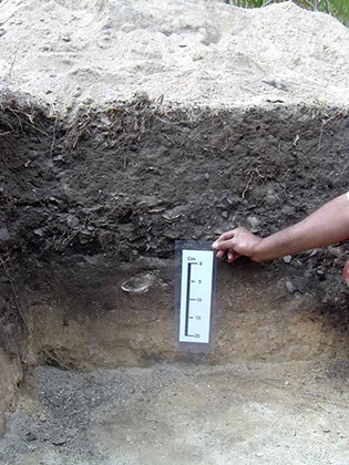 EVIDENCE Lapita Pottery Dr. Patrick Nunn Curator Web Design Diana Giesbrecht