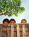 Looking Over the Fence | Marita Brodie Art from the Heart