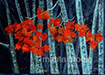 BUSH FIRE | Marita Brodie Art from the Heart