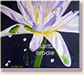 GARDEN PARTY | Marita Brodie Art from the Heart